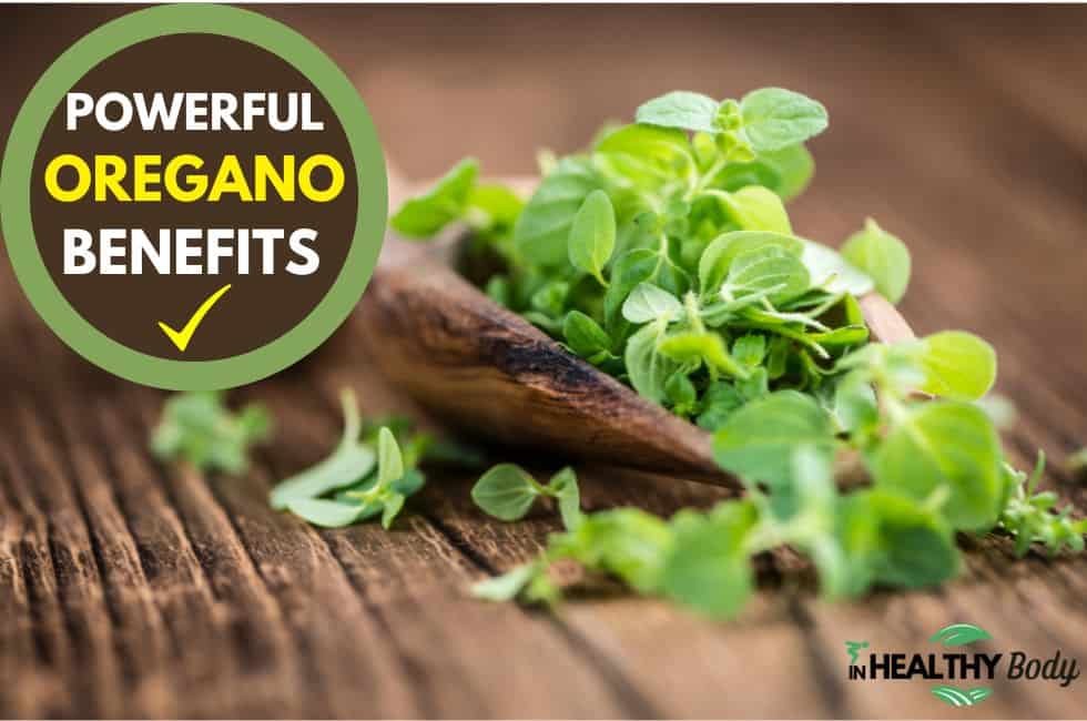The Powerful Oregano Benefits And How to Make Oregano Tea