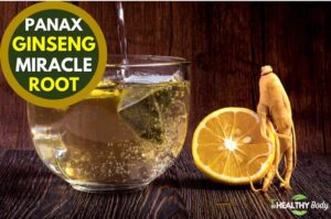 Panax Ginseng - The Miracle Root for Health and Vitality