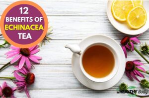 12 Powerful Benefits of Echinacea Tea And How to Make It