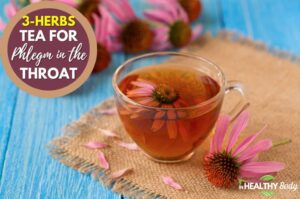 The Best 3-Herbs Tea for Phlegm in the Throat, Chest, and Lungs